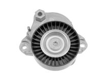Imagen de Tensor De La Correa Mercedes Benz C 350 (W203)/E 300 (W212)/C 230 (W203)/E 280 (W211)/E 350 (W211)/Ml 350-4Matic (W164) 00-25