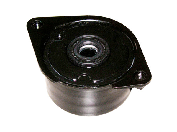 Imagen de Tensor De La Correa BMW X5 D (E53)/330Xd (E46)/530D (E39)  Land Rover Freelander 99-25