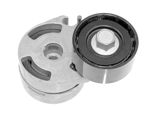 Imagen de Tensor De La Correa Ford Ecosport/Fiesta, Peug 206 01-25