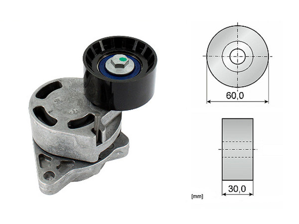 Imagen de Tensor De La Correa Renault Master 09-25