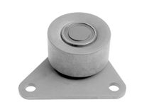 Imagen de Tensor Guia Correa Dist. Renault Laguna  Volvo V.70/S70 V70/S.70/S60/S.80/S40/850./Xc90 91-25