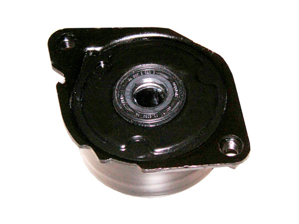 Imagen de Amortiguador Del Tensor Guia Correa BMW 320D (E46) 04-05