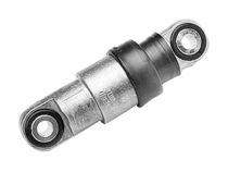 Imagen de Amortiguador Del Tensor Guia Correa BMW 320D (E46) 00-03