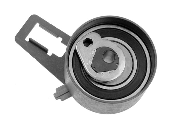 Imagen de Tensor Correa Distr Kia Carnival 07-25