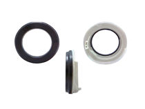 Imagen de Solo Grapodina Del Renault Megane 08-10