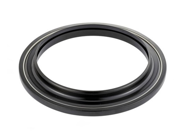 Imagen de Solo Grapodina Del Peug 406 95-25