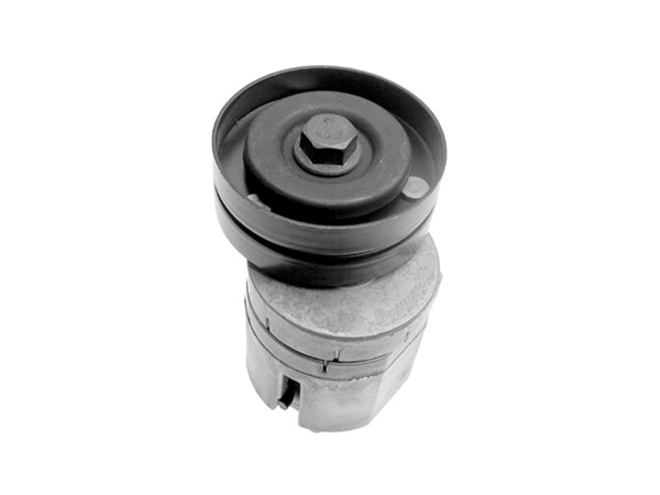 Imagen de Tensor De La Correa Ford Focus/Escort 95-04