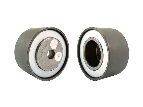 Imagen de Tensor Guia De Correa Renault Megane/Scenic, Volvo S40 95-10