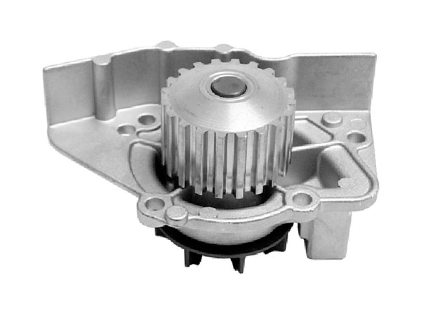 Imagen de Bomba Agua s/Carcaza Citroen Zx/Xsara Break/Xantia/Xsara  Peug 306/605/406 93-25