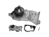 Imagen de Bomba Agua S/Carcaza Renault Megane/Symbol/Oroch/Scenic/Stepway/Fluence/Sandero/Logan/Kangoo/Duster/Clio 99-25