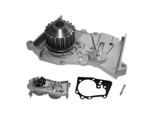 Imagen de Bomba Agua S/Carcaza Renault Megane/Symbol/Oroch/Scenic/Stepway/Fluence/Sandero/Logan/Kangoo/Duster/Clio 99-25