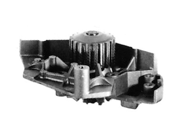 Imagen de Bomba Agua s/Carcaza Citroen Xm, Peug 406 89-04