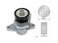 Imagen de Tensor Correa Accesorios Renault Sandero Duster Logan Oroch Stepway 10-25
