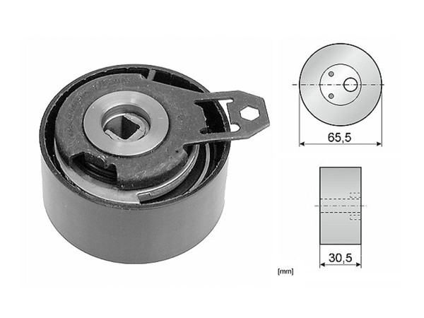 Imagen de Tensor Correa Distr Renault Megane/Scenic 00-10
