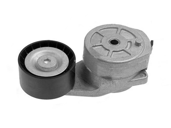 Imagen de Tensor Correa Accesorios