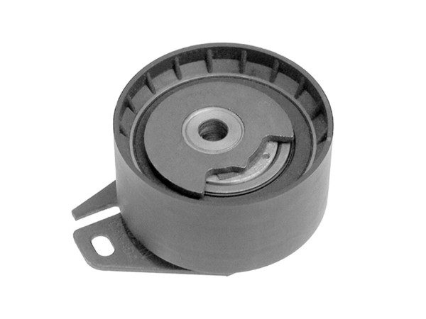 Imagen de Tensor Correa Distr Fiat Linea/Brava/Doblo 96-25