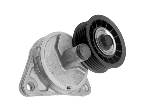 Imagen de Tensor De La Correa Ford Escort/Focus/Fiesta/Mondeo 91-14