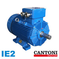 Imagen de Motores Eléctricos Serie IE2 - Cantoni.