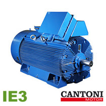 Imagen de Motores Eléctricos Serie IE3 - Cantoni.