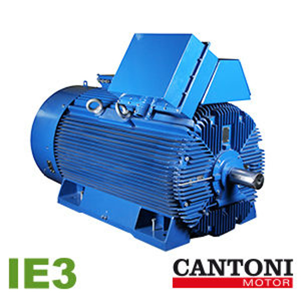 Imagen de Motores Eléctricos Serie IE3 - Cantoni.