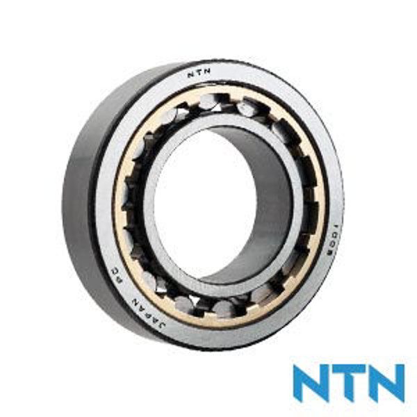 Imagen de Rulemanes rodillos cilíndricos anillo estático - NTN.