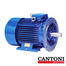 Imagen de Motores Eléctricos con brida B5 - Cantoni.