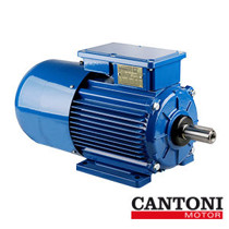 Imagen de Motores Eléctricos con freno - Cantoni.