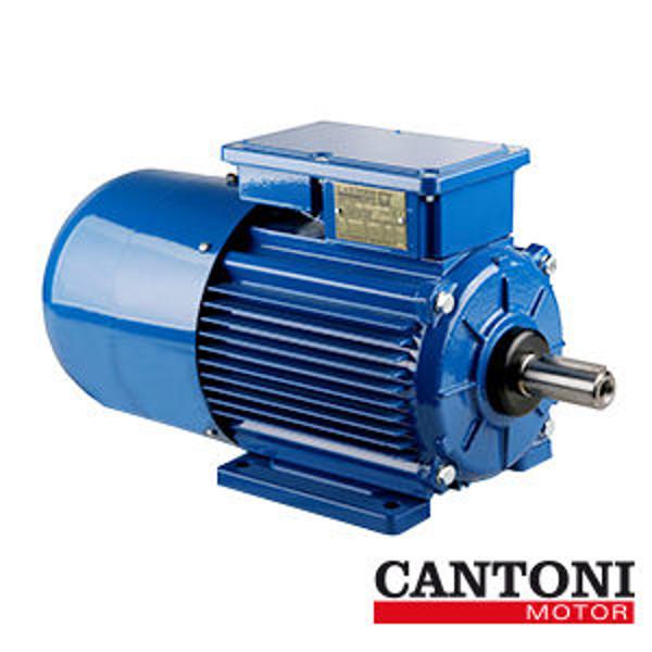 Imagen de Motores Eléctricos con freno - Cantoni.