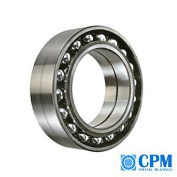 Imagen de Rulemanes especiales - CPM.