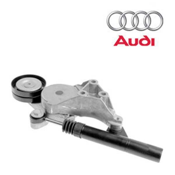 Imagen de Tensores y poleas para AUDI.