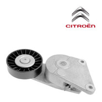 Imagen de Tensores y poleas para CITROEN.