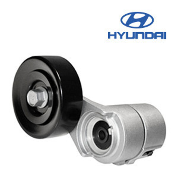 Imagen de Tensores y poleas para HYUNDAI.