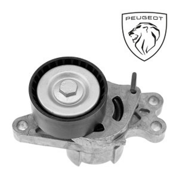 Imagen de Tensores y poleas para PEUGEOT.