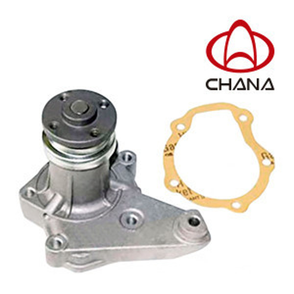 Imagen de Bombas de agua para CHANA.