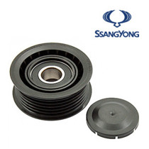 Imagen de Tensores y poleas para SSANGYONG.