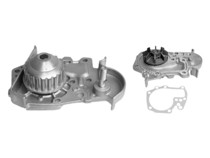 Imagen de Bomba Agua s/Carcaza Renault Clio/Express/Kangoo/Megane/Scenic 96-10