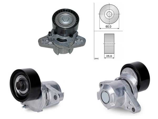 Imagen de Tensor Correa de Accesorios Renault Clio/Express/Kangoo/Laguna/Logan/Megane/Scenic/Symbol 03-25