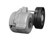 Imagen de Tensor De La Correa Iveco Camion Stralis 570S42 08-09