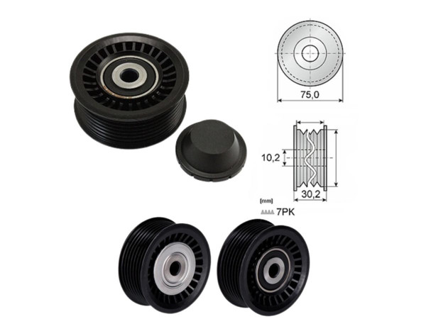 Imagen de Tensor Guia Correa Renault Clio/Captur/Duster/Kangoo 12-25