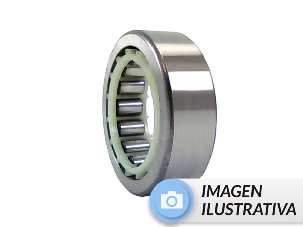 Imagen de Rueda Trasera Una Hilera Alternativa