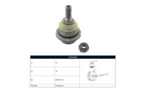 Imagen de Rotula Del Peug 407 04-25 Der/Izq