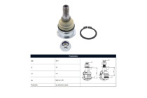 Imagen de Rotula Delantera Nissan Sentra B15 01-06 Der/Izq