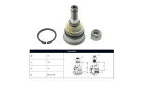 Imagen de Rotula Delantera Nissan Sentra B14/Sentra B13 82-17 Der/Izq