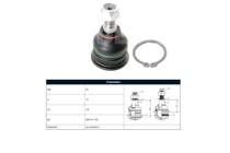 Imagen de Rotula Delantera Mitsubishi Lancer/Colt 88-92 Der/Izq