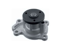 Imagen de Bomba De Agua Sin Carcaza